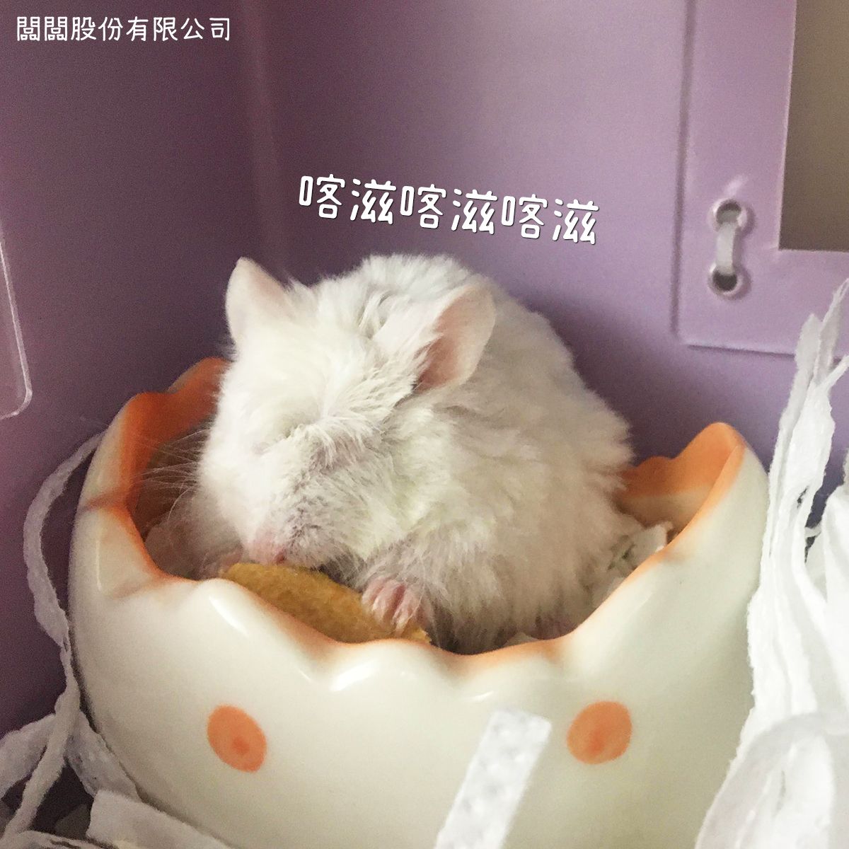 hamsterbossboss's tweet photo. 手熟：好ㄘ肉肉酥~😋

#闆手 #闆闆股份有限公司
#我說那個頭毛 #真的不能整理一下嗎 https://t.co/C63NfCbHZv
