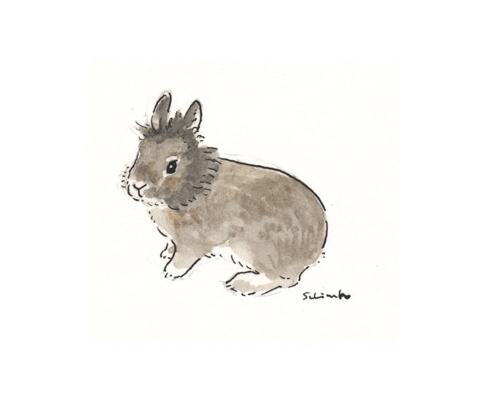 だるまうさぎのtwitterイラスト検索結果 古い順 だるまうさぎのtwitterイラスト検索結果 古い順