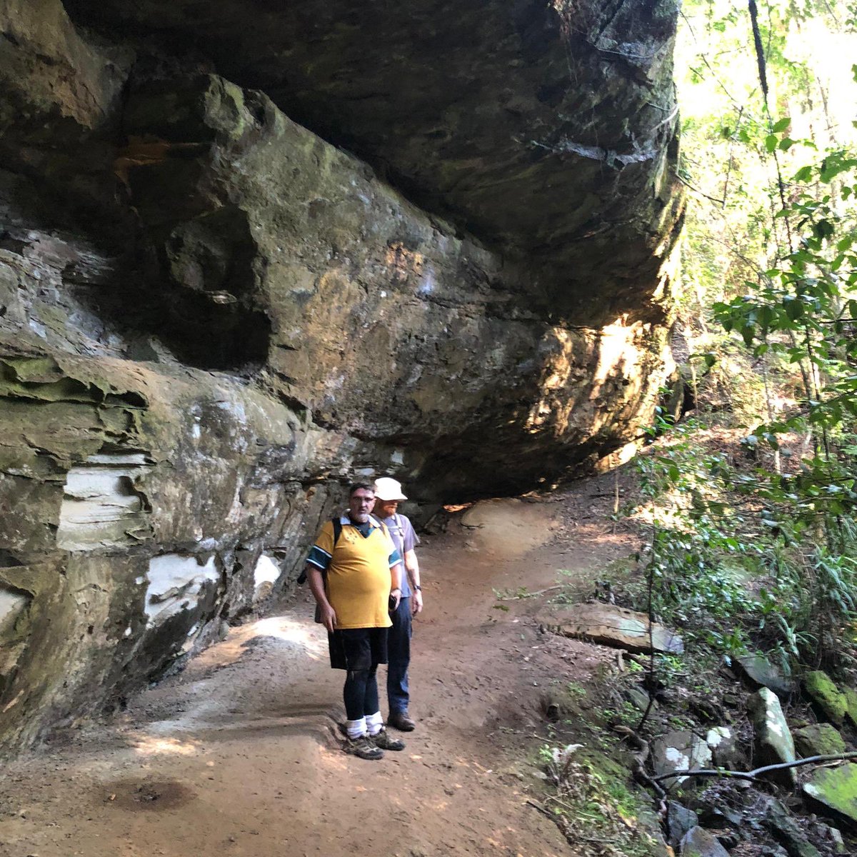 Newy Traveller tweet media