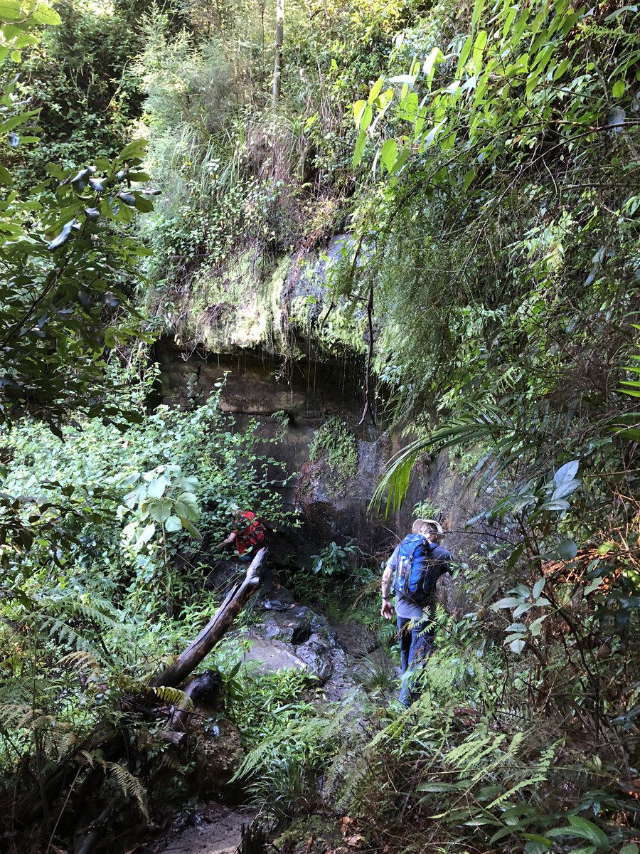 Newy Traveller tweet media