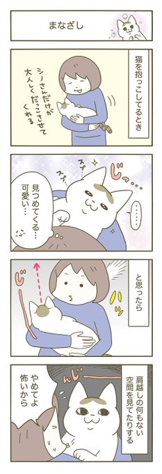 音を聴いてるらしいね 