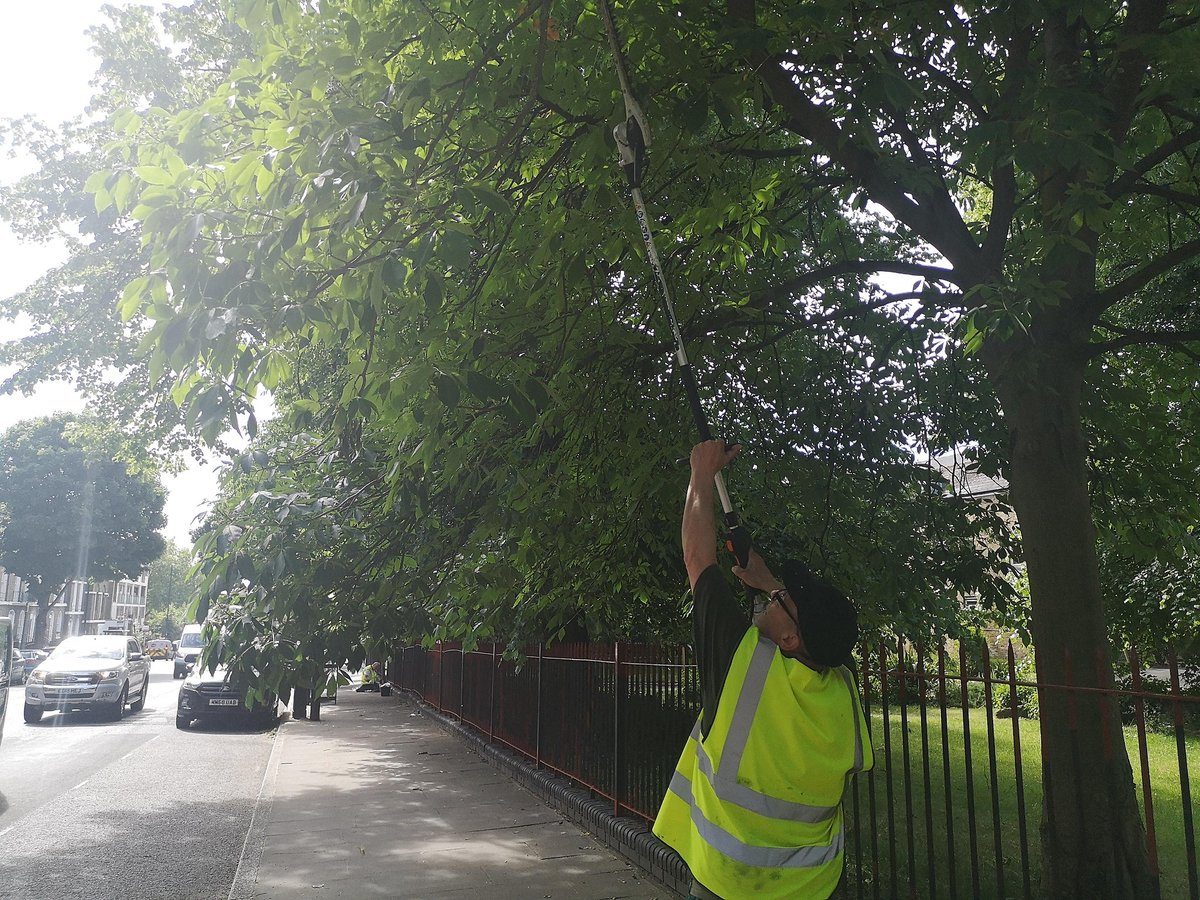 IslingtonLife's tweet photo. Overhanging foliage and hedges can make social distancing on pavements especially difficult. @Islingtonbc are maintaining those on council property but we all need to do our bit. If you have a hedge that's obstructing the footway, please cut it back.  https://t.co/Uw6DW4RtlU 🌳 https://t.co/r3pgqxx7qm