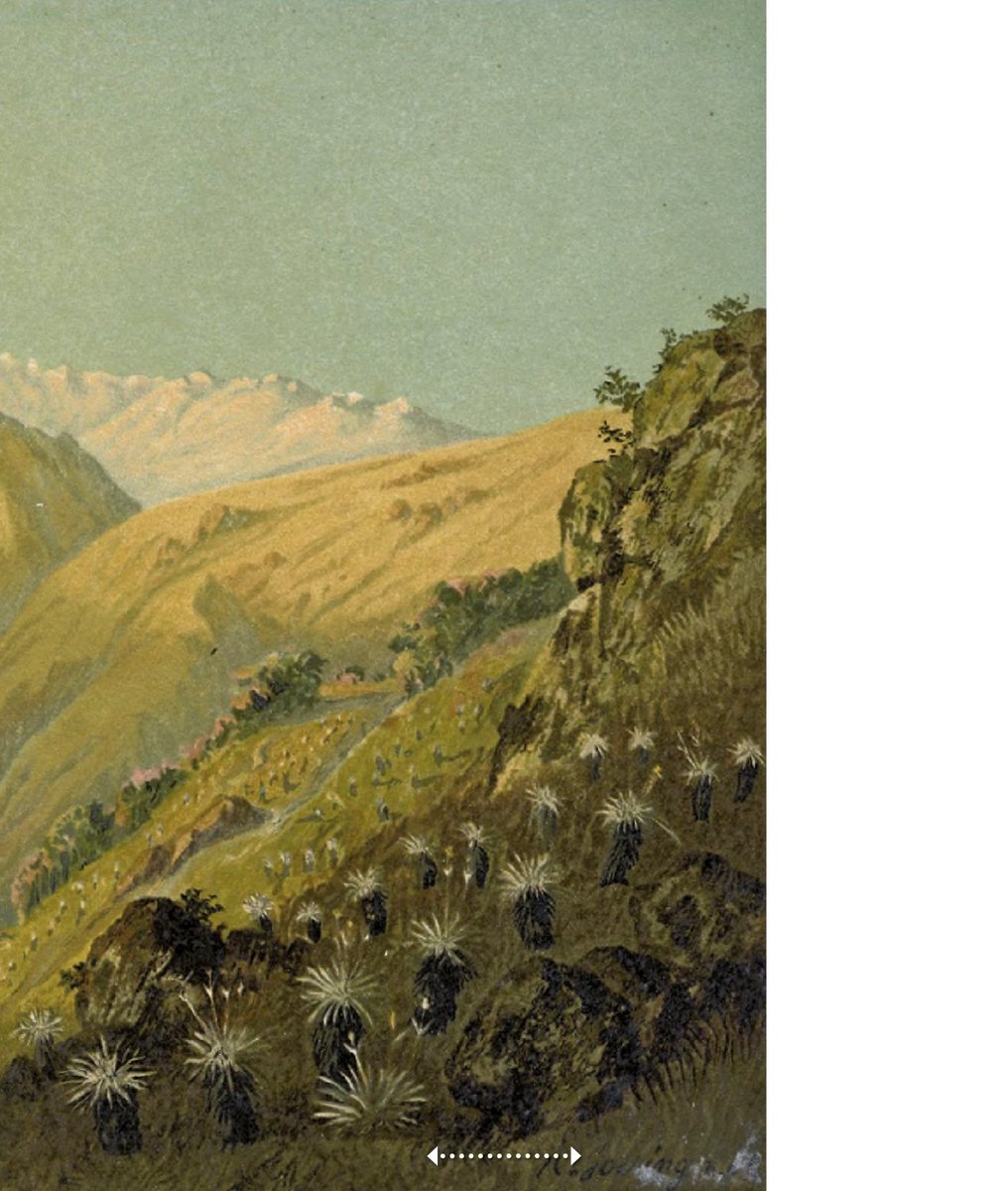 samhur_le's tweet photo. #MaticesDeLaSierraNevada | La Concha, circa 1869. Fuente: Cristian Anton Goering (1836-1905). "Von Tropische Tieflande zum ewigen Schnee: Eine malerische Schilderung des schönsten Tropenlandes Venezuela". Leipzig, 1892

#Merida_ve
#naturaleza
#paisajevenezuela https://t.co/MiV4xbyV3k