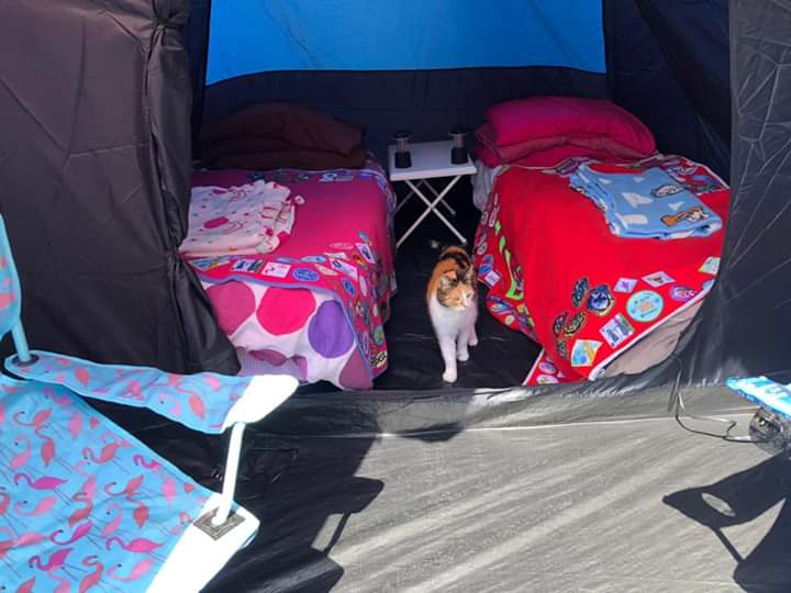 GuidingSussexE's tweet photo. More tents and dens ready for tonight!
π
#MidsummerMadness2020 #virtualsleepover #girlguidingsussexeast #girlguidinguk #girlguiding #stayinghome #guideleaders #girlguides #somethingtoshoutabout #campingathome https://t.co/smhkb9cYDG