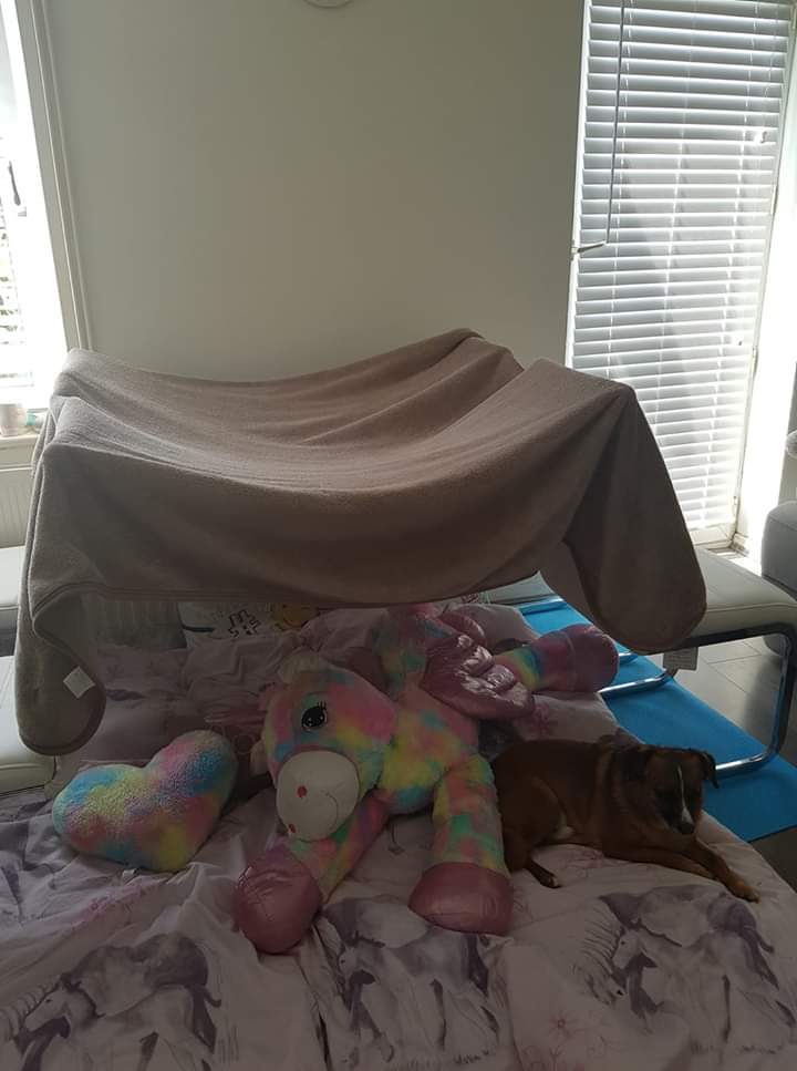 GuidingSussexE's tweet photo. More tents and dens ready for tonight!
π
#MidsummerMadness2020 #virtualsleepover #girlguidingsussexeast #girlguidinguk #girlguiding #stayinghome #guideleaders #girlguides #somethingtoshoutabout #campingathome https://t.co/smhkb9cYDG