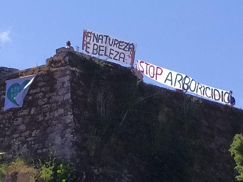 PlanDeChoqueGZ's tweet photo. #20JPlanDeChoque #StopArboricidio Acción denuncia das tallas indiscriminadas. Non podemos seguir mirando ás arbores como meros ornamentos de quita e pon e temos que consideralos o que son, as nosas aliadas na loita contra #CambioClimático
#NuncaMáis urbanismo a golpe de motoserra https://t.co/TxLKQTcmco