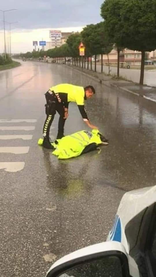 Arabanın çarptığı Köpeğe Yağmurda ıslanmasın diye Veteriner gelene kadar montu ile koruyan şefkatli Polisimiz
❤️👏👏👏👏❤️