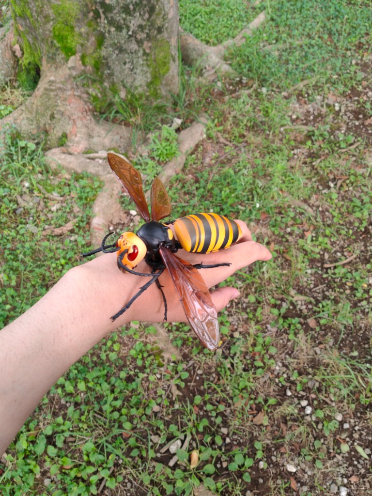 かたかけ ほうじ ほうじ茶 Pa Twitter 刺したり噛んだりして来ないなら 大きい蜂もかわいい T Co ahnv0idc Twitter