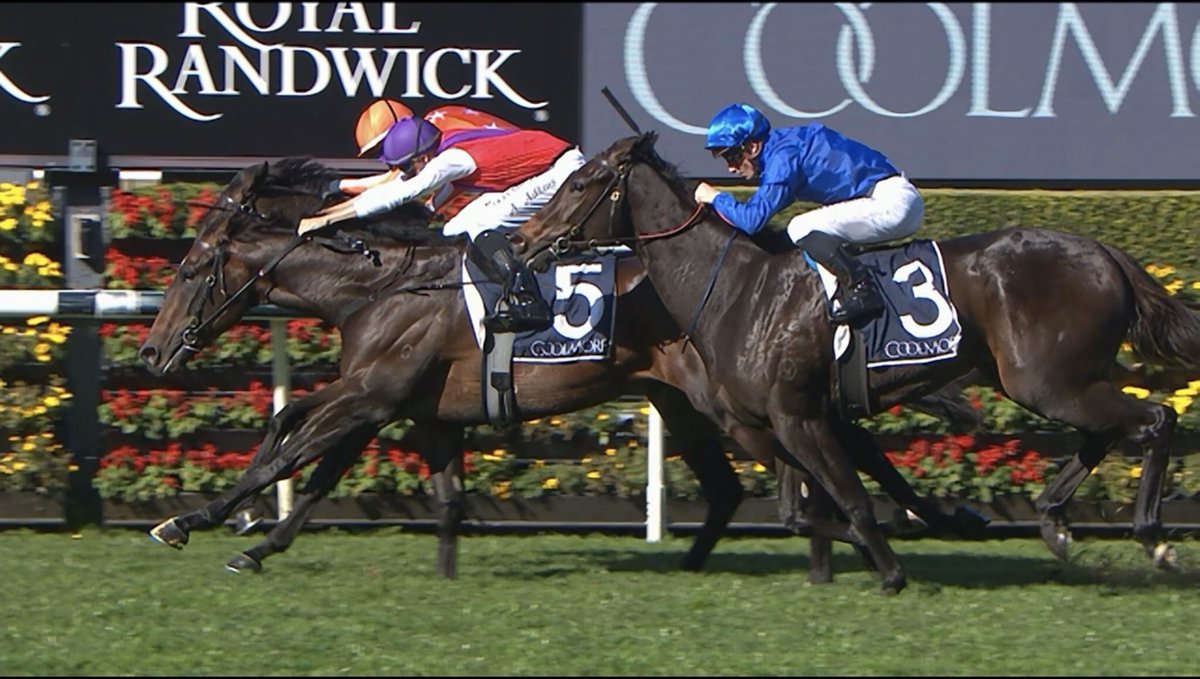 SarahXtra's tweet image. Bob of the head in it at Randwick in the Magna Grecia Coolmore Handicap - my girl Angel Helena fought hard but the win didn’t go her way - congrats to @TomMagnier and the team at Coolmore on your win with Exhibition huge thanks to @SnowdenRacing1 for all you do for my girl Emmy