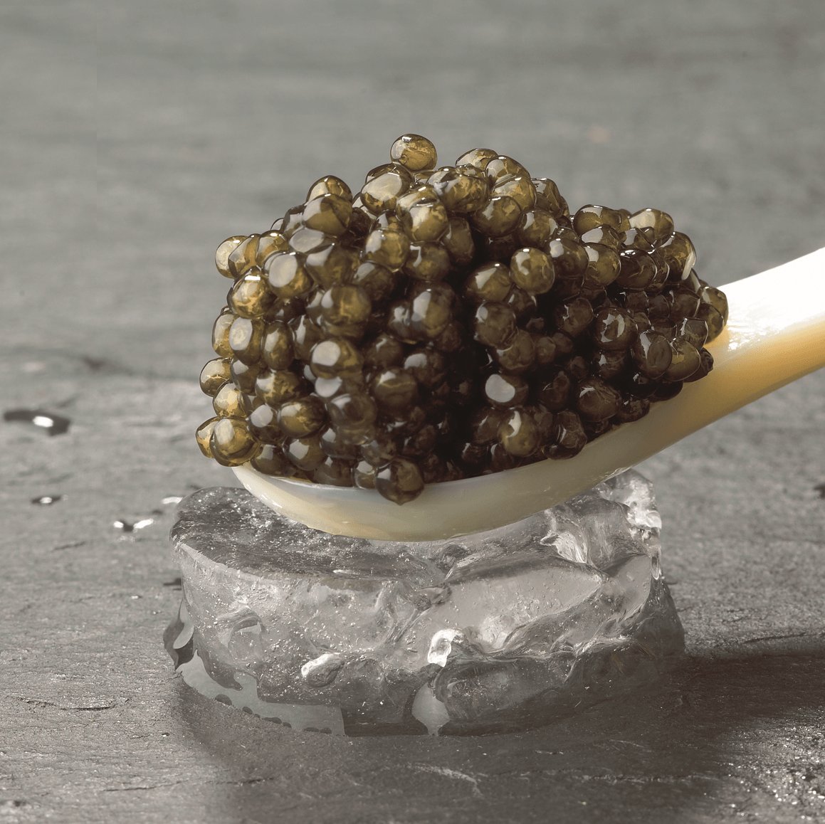 Jo63720293's tweet photo. Est-ce que l'on peut dire que le caviar est un poisson pas né ???
#jedemande
#blagueréchauffée
#pasmieuxcematin
#nuitdifficile https://t.co/DWsF06TNhM