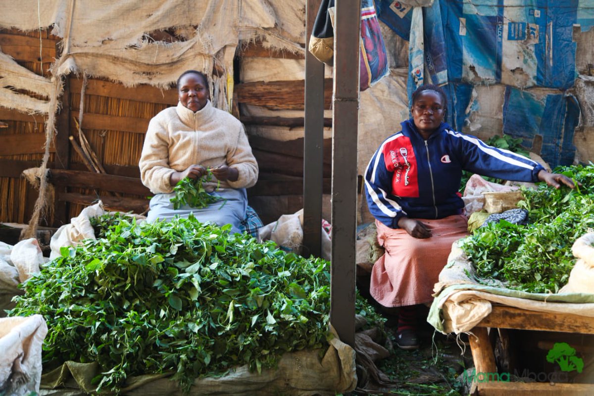 MamaMbogaKe's tweet photo. We empower mama mbogas to handle their stalls professionally by keeping books, selling clean food and supporting small scale farmers when sourcing produce.  We want young girls to aspire to be mama mbogas.
@AmandaNamayi
#NewEra4Food https://t.co/BQDygQrETi