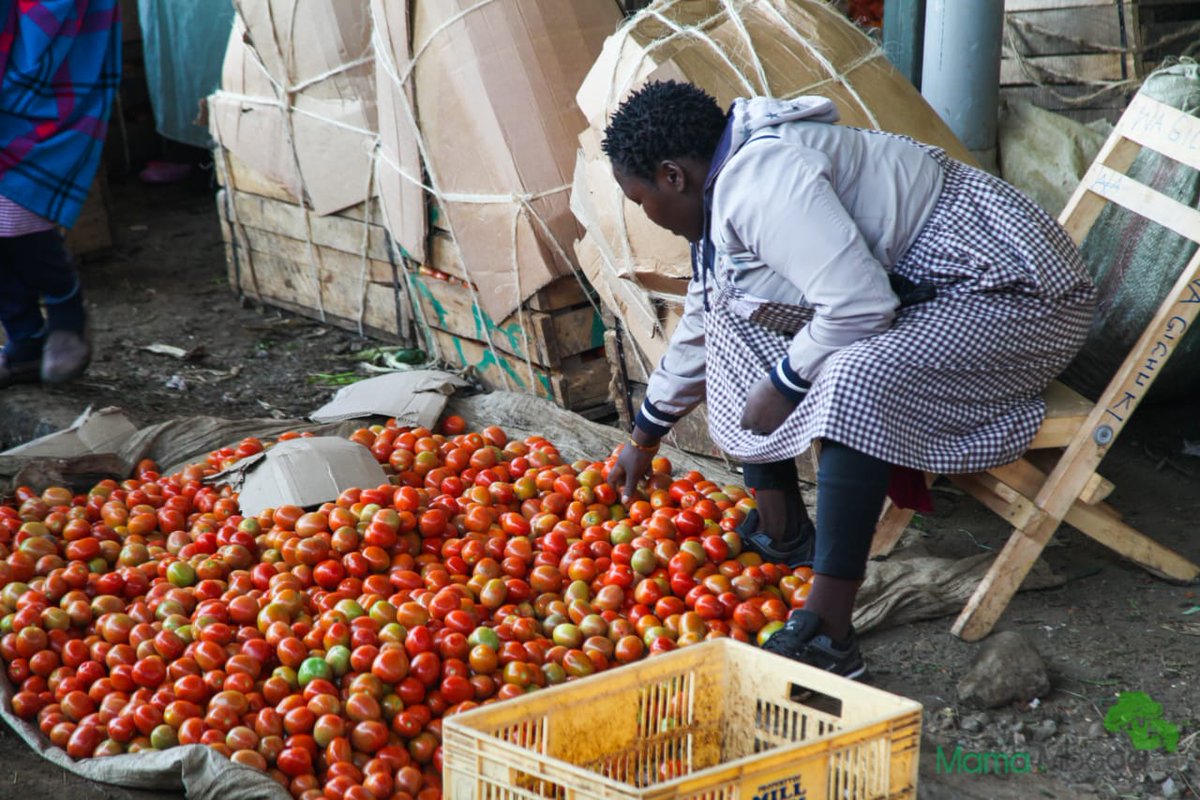 MamaMbogaKe's tweet photo. We empower mama mbogas to handle their stalls professionally by keeping books, selling clean food and supporting small scale farmers when sourcing produce.  We want young girls to aspire to be mama mbogas.
@AmandaNamayi
#NewEra4Food https://t.co/BQDygQrETi