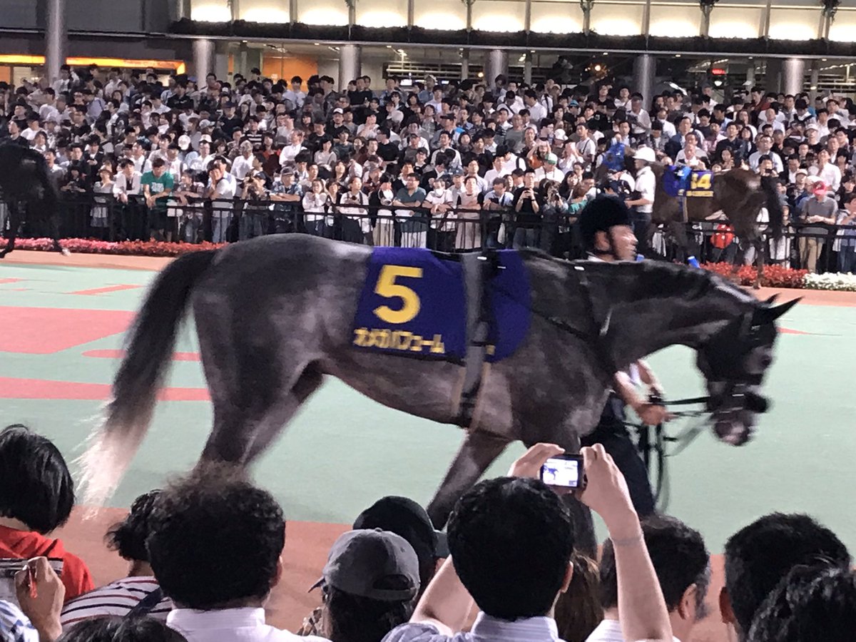 webprogramming0's tweet image. 帝王賞サーモタンブラー欲しいです！
今年は無観客残念、、、
行きたかった、、、

#6月24日は帝王賞
#クリソベリル
#ルヴァンスレーヴ
