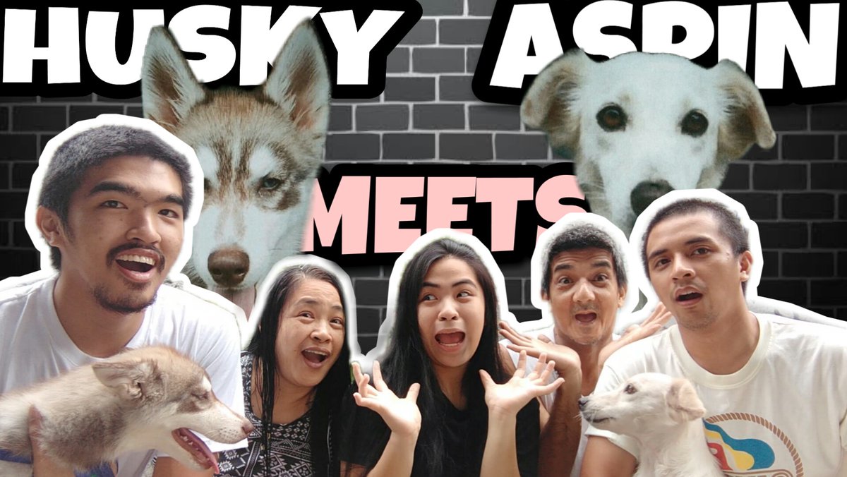 GINEDB_'s tweet photo. all breed of dogs deserve the same kind of love

sky meets illona
aspin meets husky 

new vlog: https://t.co/MPl4nlBglv https://t.co/WZrOnuvcbh