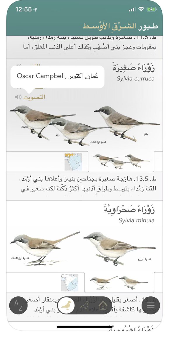 MohdAlyousefi's tweet photo. من أفضل التطبيقات المجانية عن الطيور.. هو خلاصة كتاب بعنوان طيور الشرق الأوسط،، الذي يقدم صورا مرسومة بدقة للطيور، ويعطي معلومات عنها موجزة لكن مركّزة.. ومفيد للمهتمين ومصوري الطيور
https://t.co/c5StkcSt4O
وللاندرويد
https://t.co/D47efmxx6K
ابحثوا عنه إذا تعثر الرابط https://t.co/OOsgCRmEz2