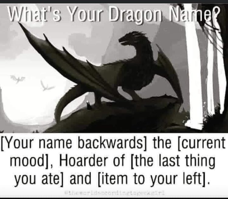 LV_matthews's tweet photo. Vil the Exhausted, hoarder of rice and pillows. 😆 https://t.co/TM54N8ZiIB