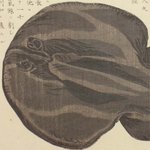 main image of this resource