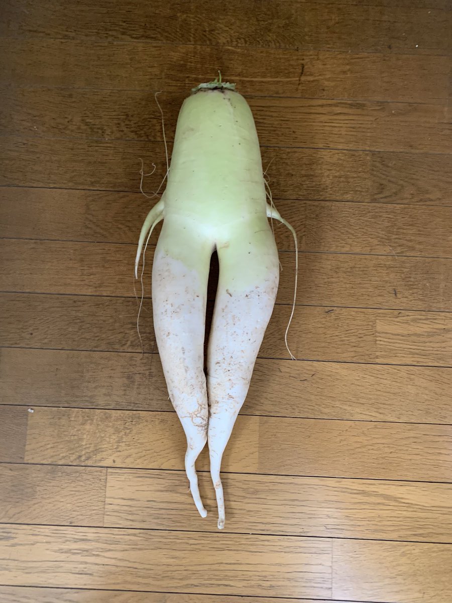 可愛い野菜