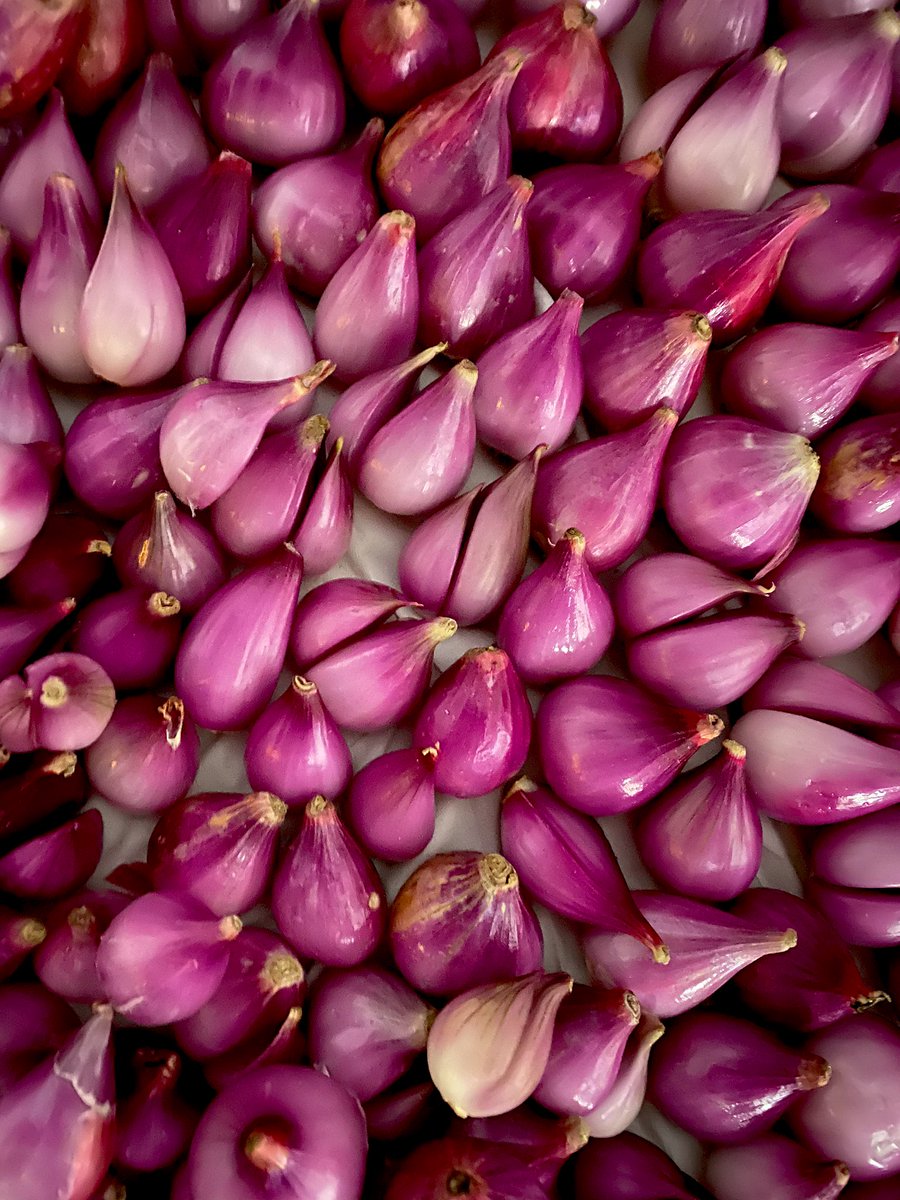 Arnold.P tweet media