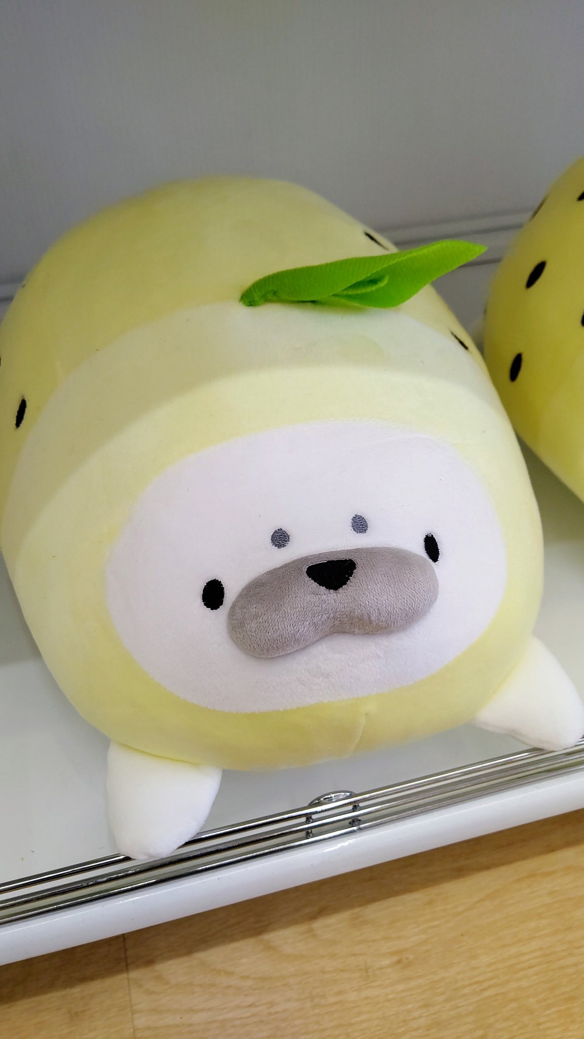 ひつじぱん 最近のダイソー私に刺さるぬいぐるみばかり出すから困る アザラシレモンかわいい T Co Q9vzml2sjy Twitter