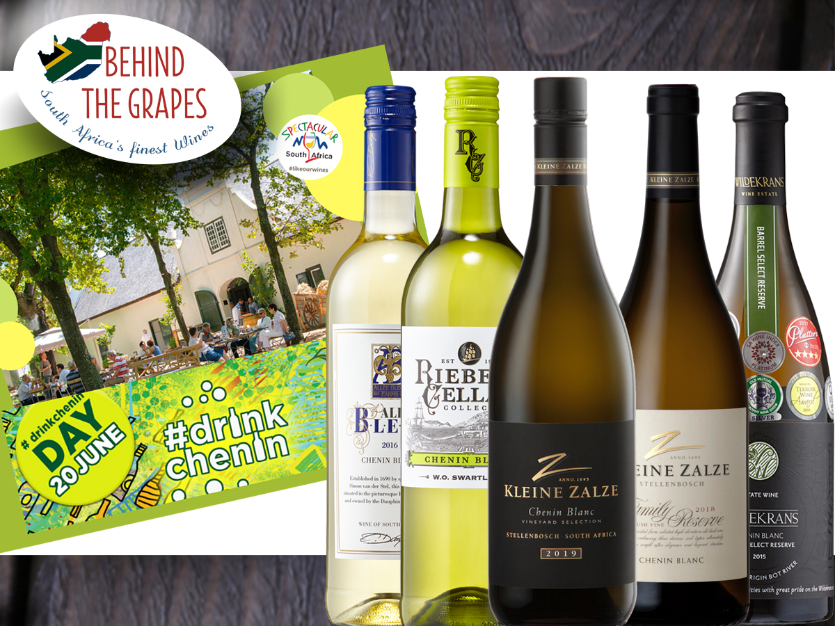 BehindTheGrapes's tweet photo. Wir feiern Südafrikas meist angebaute und vielfältige Traube: Chenin Blanc. Diese wunderbare Sorte vollbringt viele unterschiedliche Stile - von "easy drinking" bis reichlich komplex.
Unsere Chenin-Auswahl: https://t.co/9RIA4NPJaI

#drinkchenin #cheninday #cheninblanc #weißwein https://t.co/VmrPlJZcsk