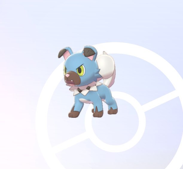 ちゅーるの色巣 Twitter Search Twitter