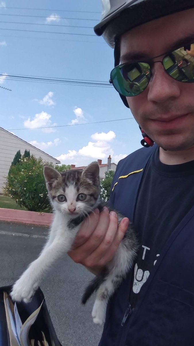 XTaZe29's tweet photo. Il y a deux ans pendant que je fesais une tournée a vélo (facteur) je tombais nez a nez avec un petit chaton d'1,5 mois seul sous une voiture, j'ai craqué, j'ai pas réfléchi et aujourd'hui je suis extrêmement fière de mon choix 🥰
#MaPetitePatate #Ouna https://t.co/OESAGyJgbB