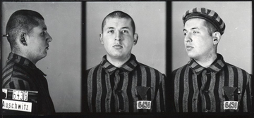 20 June 1942 | Driving a stolen SS car and wearing SS officers uniforms, four Polish prisoners escaped from  #Auschwitz camp: Eugeniusz Bendera, Stanisław Gustaw Jaster, Józef Lempart oraz Kazimierz Piechowski. It was one of the most spectacular escapes from the German Nazi camp.