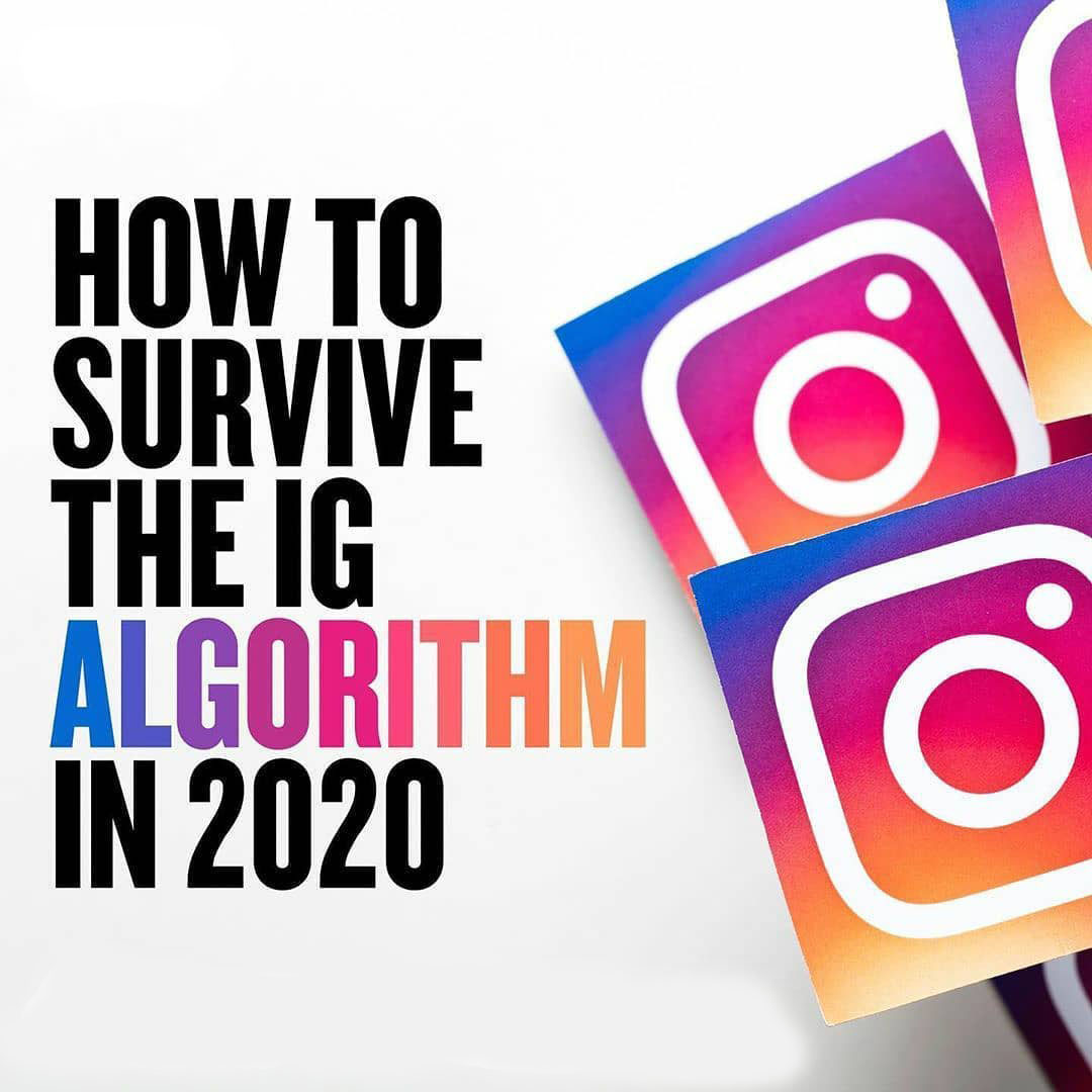 hall_digital's tweet photo. Don't get swept into the shadows by the ever-changing #Instagram algorithm‼️⁠⠀
⁠⠀
Swipe through to see the 6️⃣ KEY factors that influence the algorithm.⁠
⁠⠀
It's important to understand each one so you can utilize them in your #socialmediastrategy 
 @hall_digital https://t.co/NtWcI6x4BY