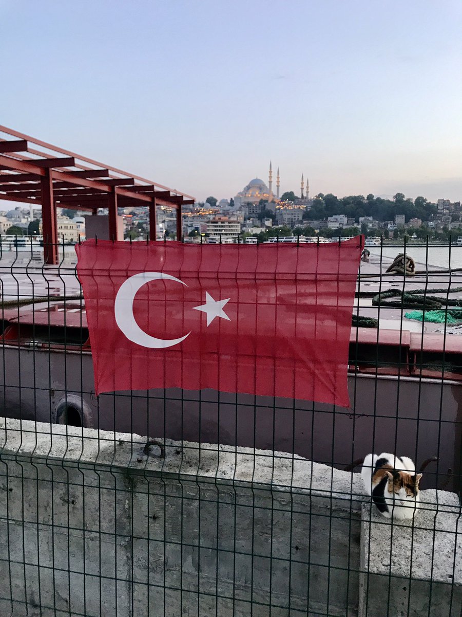 TheTurkishLife tweet picture