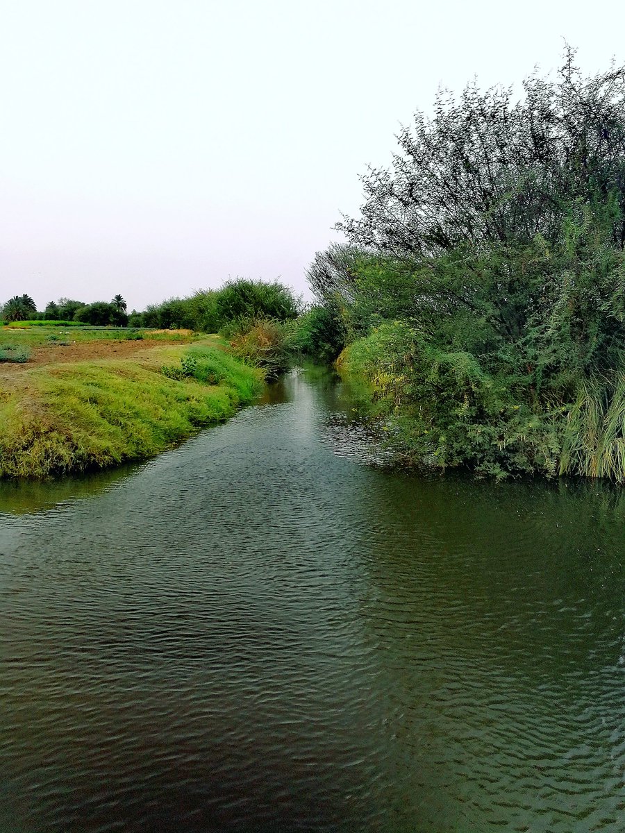 𝐊ⓞⓞ𝐁𝐘💛🖤 tweet media