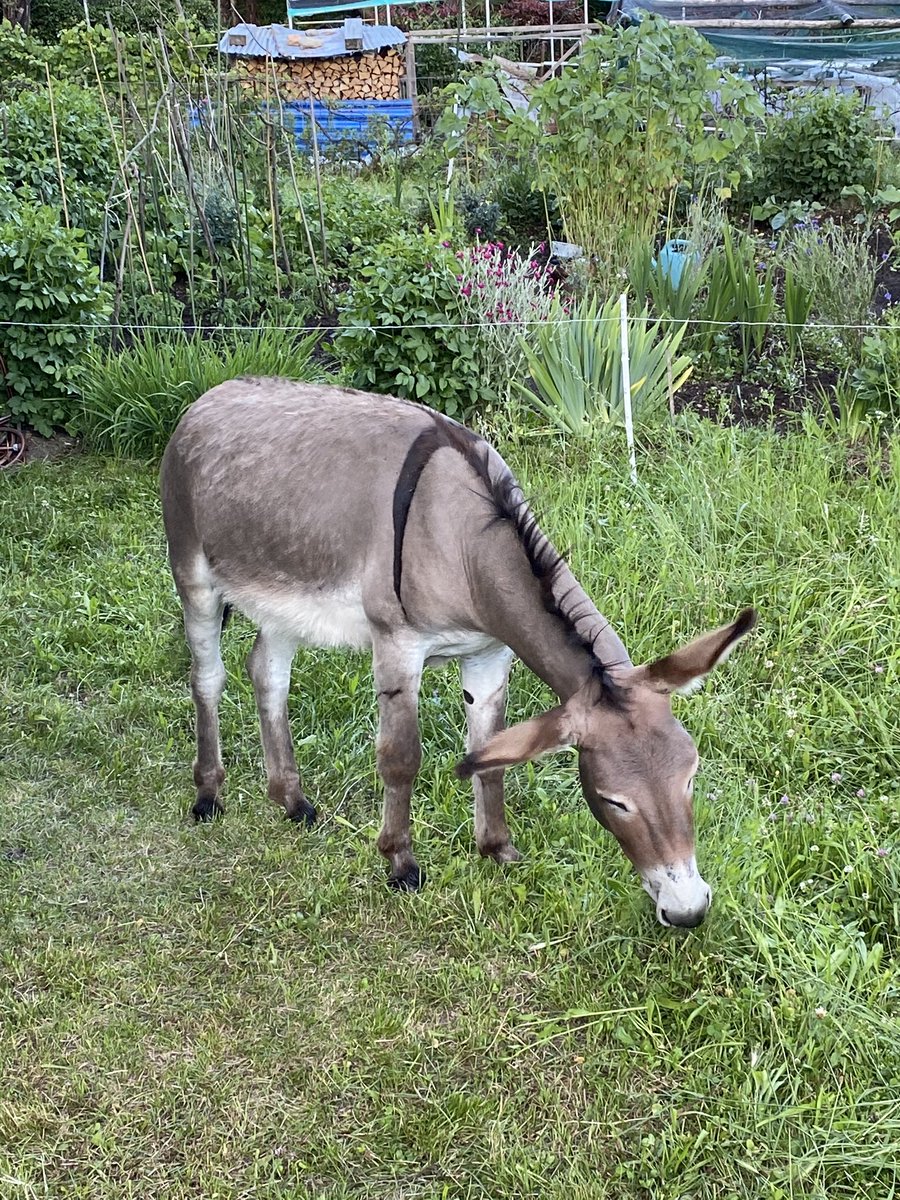 Vera Class tweet media