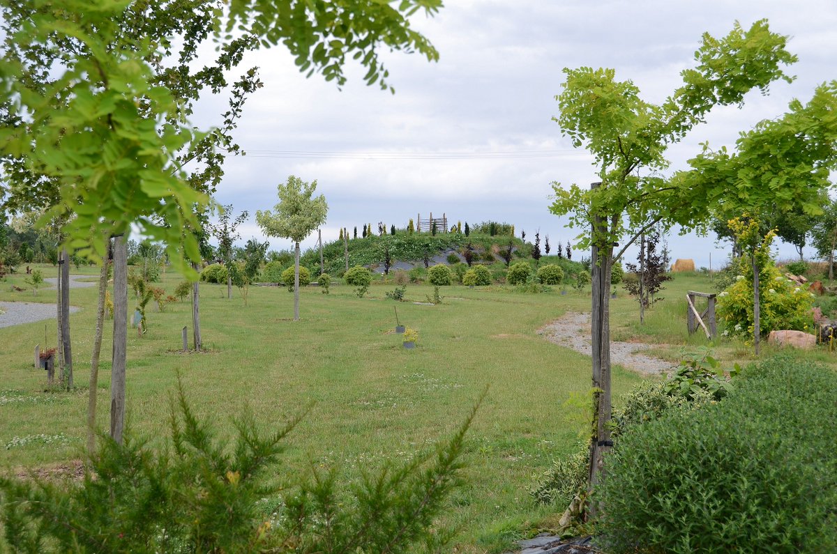 [ Visites Arboparc ]

Aujourd'hui et demain, 10h30/12h30 et 14h/17h30, l'Arboparc accueillera les visiteurs pour soutenir la Fédération pour la recherche sur le cerveau Neurodon ! 

Visite commentée durant ces 2 jours, à 15h.

2€ reversés à la recherche pour chaque entrée ! 🙏