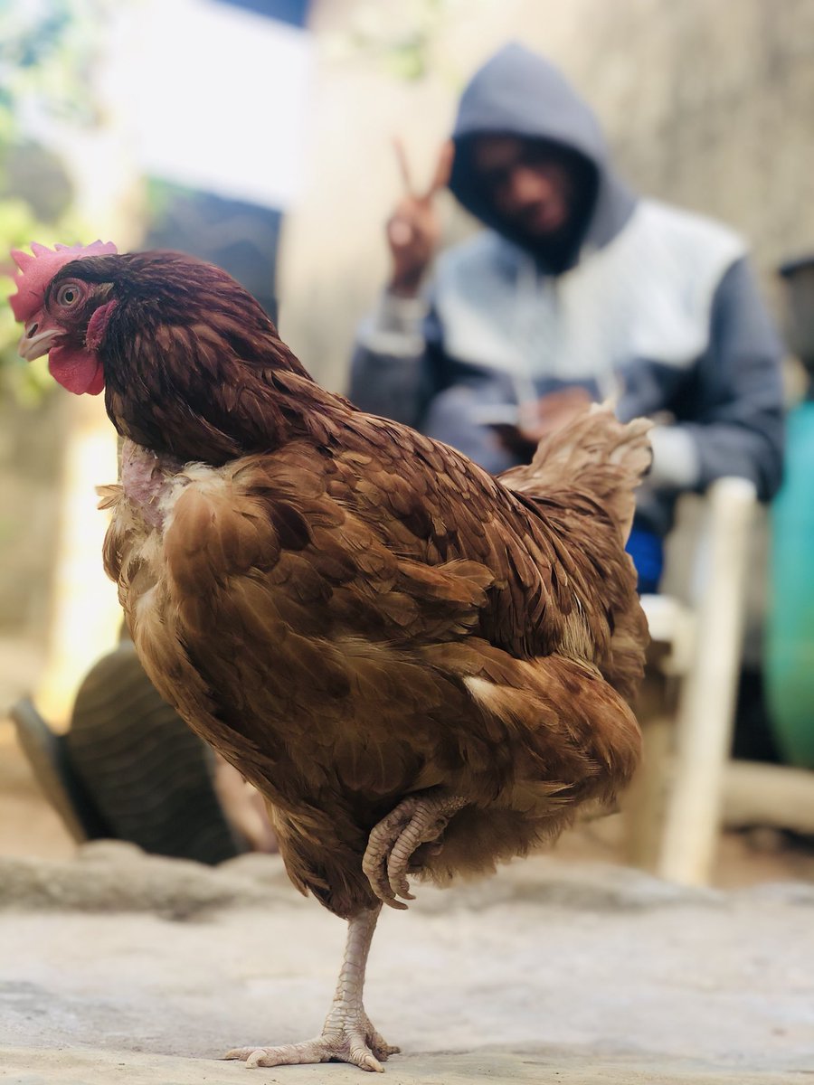 Ogabzin's tweet image. Where are the Poets here 😂😩? #osibanjo #ambode #batchb #weekend