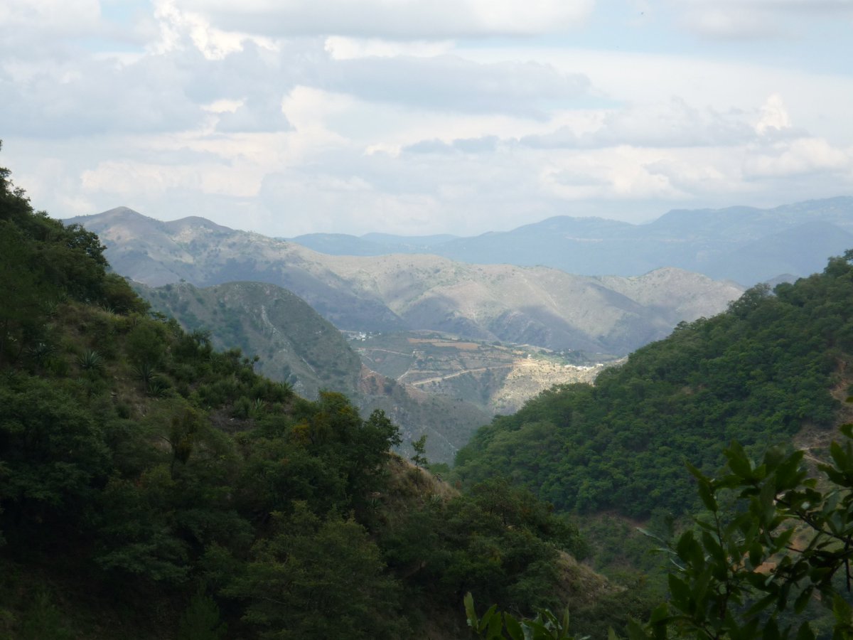 3. A pesar de ser un distinguido catedrático decidió seguir su vocación misionera y en 1749 viajó hasta el Colegio de Misionaros de San Fernando en la capital de México, desde donde viajó a Sierra Gorda, tierras donde evangelizó a la población nativa durante más de 8 años.