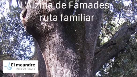 AjuntamentAmer's tweet photo. Properes activitats a Amer.
#Amer
#ViulaCultura
#ViulaNatura
#ViulesTradicions
#VisitaAmer
#ViuAmer
@idea_gc @MPeraferrer #ElMeandre #SantJoan
@TurismeSelva https://t.co/gTc1RB2QCk