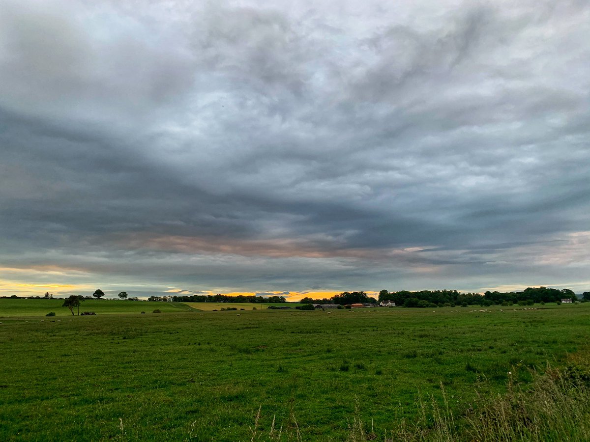 vickyrunstrails's tweet photo. 4:34am, official sunrise time on the day of the #SummerSolstice2020 . 3.5miles into my #longrun . Nothing too dramatic, hopefully that’s a good sign for the rest of 2020. 🤞🏻🤞🏻🤞🏻 #hopeful #running #whwr @WHWRace relay miles done early today. https://t.co/BFBAY367qM