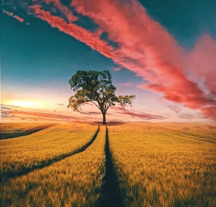 Murat (@lovesgeography) on Twitter photo 