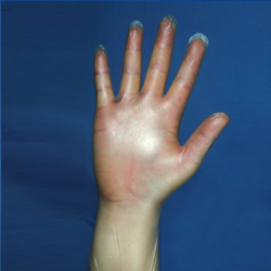 JoyceSunw's tweet photo. Protective gloves, medical gloves, export double certification：
1.Disposable Exam PVC Gloves；Size: XS, S, M, L, XL.
https://t.co/KaZhy53ZWQ Gloves；Size: S, M, L, XL.
3.Nitrile Gloves；Size: XS, S, M, L, XL

Dear friends, protect yourself and your family please💪 https://t.co/y1GGWu3SEQ