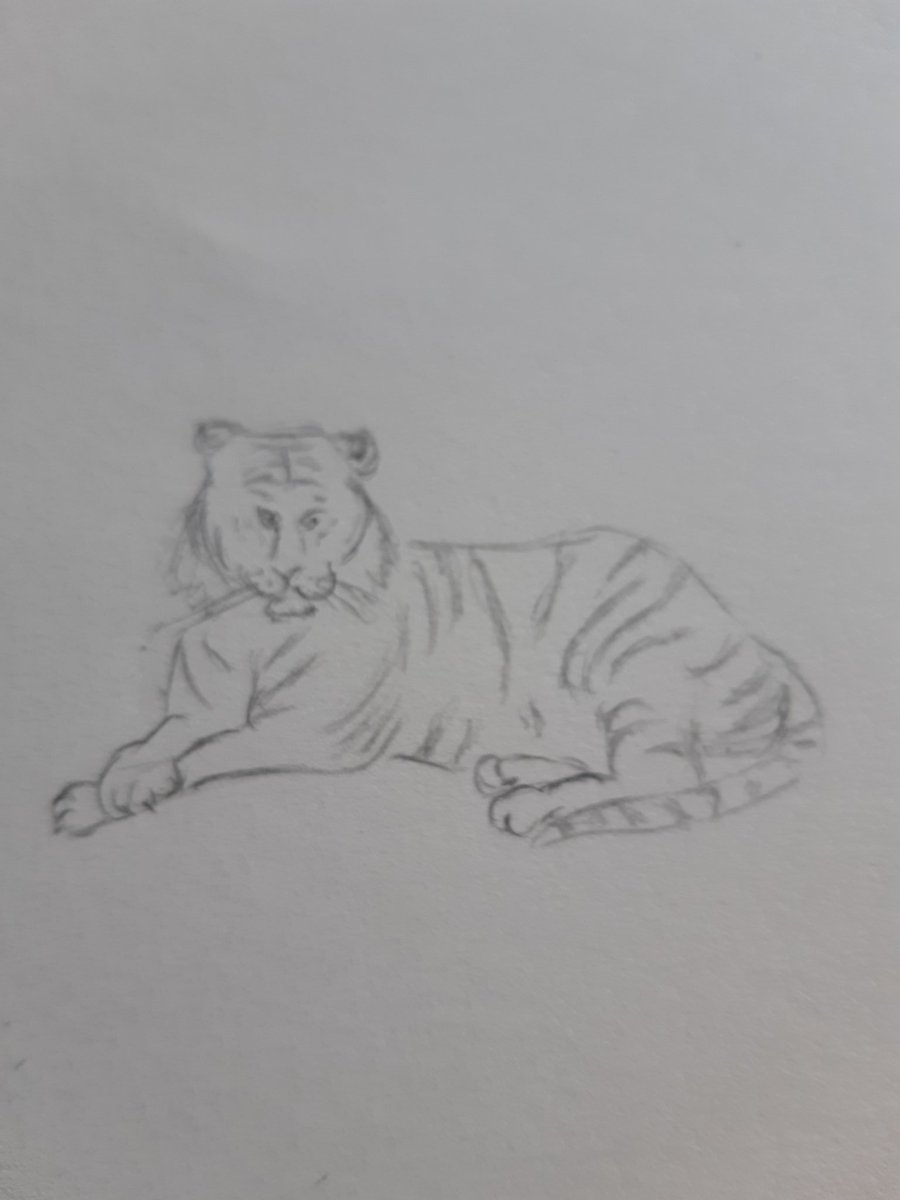 #saturdayscribbles Tiger

#kleinekunstklasse