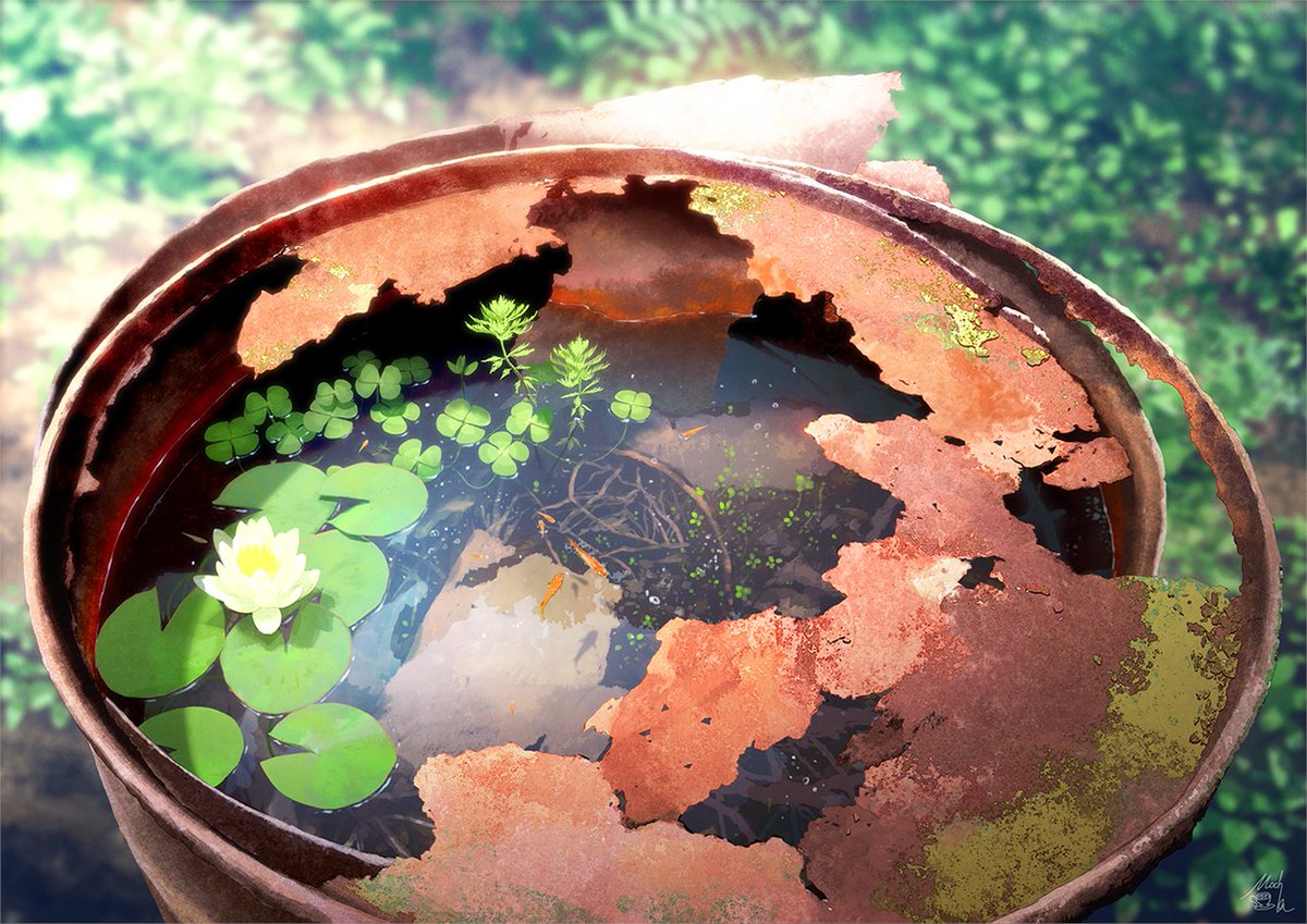 no humans lily pad bowl water flower outdoors blurry  illustration images