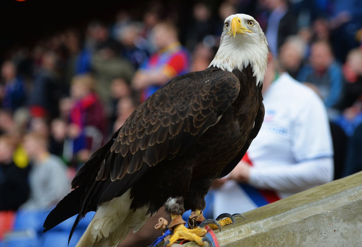 Today, Kayla died 28 years of age from a heart-attack.  #RIPKayla.  @CPFC