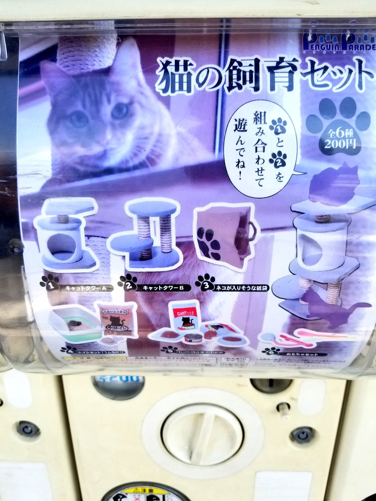 猫の飼育セット 猫の飼育セット