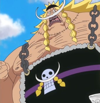 9. Entre ces 4 personnages, lequel veux tu découvrir (son passé, sa force, le voir en action)? (Ryokugyu pour les amiraux)