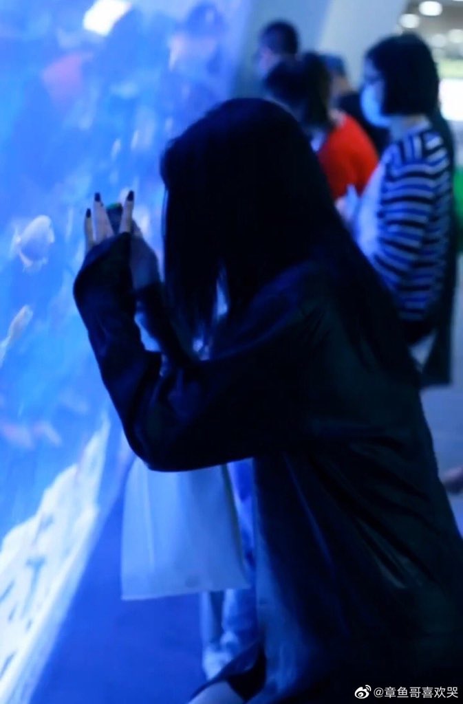 ZhaoXiaotttttan's tweet photo. เห็นปลาแล้วมีความสุขสิน่ะ555🐟🍬❤️

#Zhaoxiaotang #YuShuXin #EstherYu #ถังซิน #dyth https://t.co/Uf4PZYKuPd