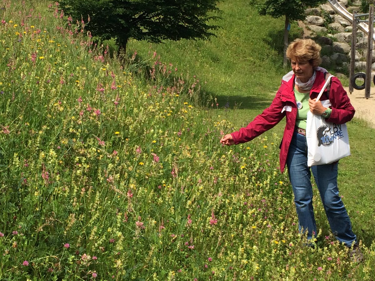 Agrarkultur's tweet photo. Heute ist der BlühbotschafterInnen Lehrgang am Ackermannbogen in @muenchen: zu entdecken gibt’s Biotope, Wasserspeicher &amp; natürlich viele #Insekten mitten in der Stadt mit Dr. Alicia Bilang vom #Ackermannbogen e.V.! https://t.co/sDcmg8CGGc