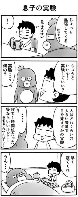 息子の実験 