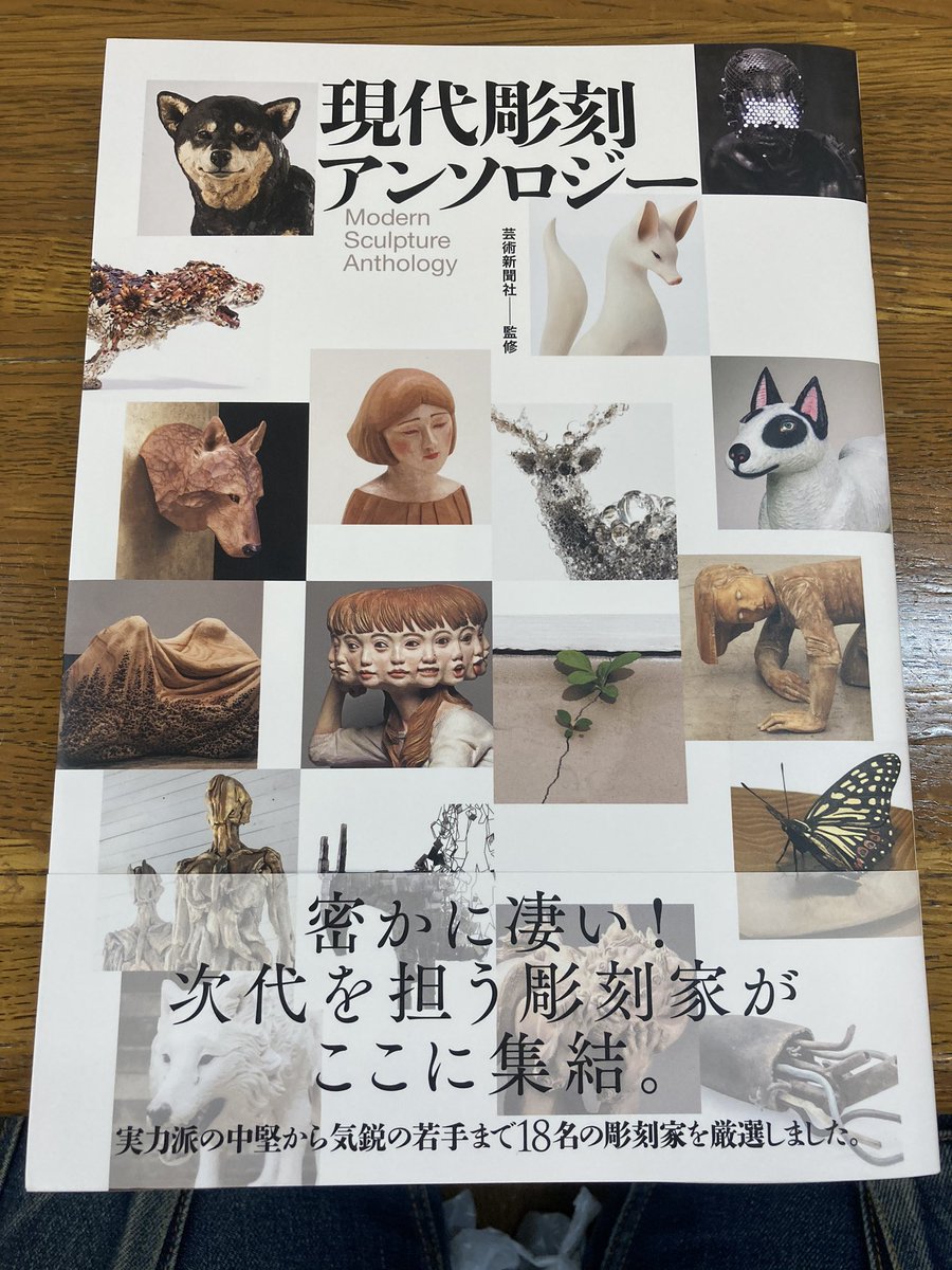 ジン太 Pa Twitter 土屋仁応さんの作品目当てに買ったけど予想以上にすごい作品ばっかでよかった いいね彫刻
