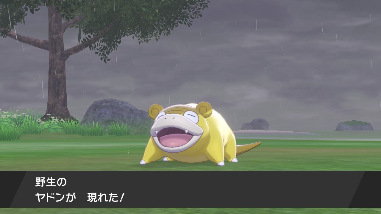 2 匹 目 ダクマ