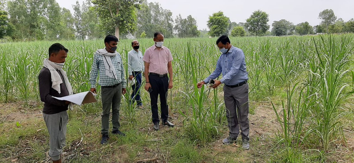 District cane officer Pilibhit tweet media